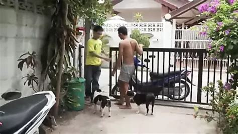 Raw Asian Some In The Night Club Gay In Thai Porn XHamster