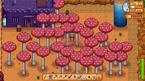 Took A Year In Game But Way More Mushroom Trees Thanks For The Advice