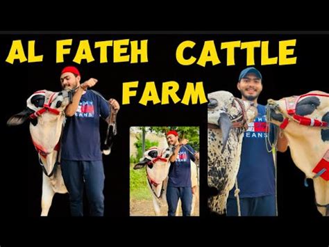 Al Fateh Cattle Farm Karachi K Sab Sy Khoobsurat Janwar Mandi