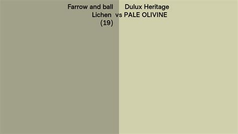 Farrow And Ball Lichen 19 Vs Dulux Heritage Pale Olivine Side By Side Comparison