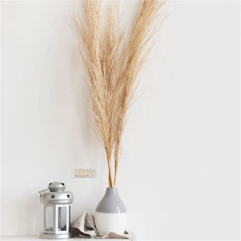 Colours of Mallorca certificate with wall sticker as proof of product authenticity. - Colours of ...