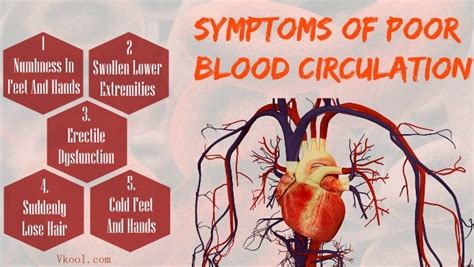 10 Signs And Symptoms Of Poor Blood Circulation In Legs