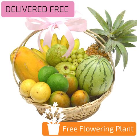 TROPICAL FRUIT BASKET FREE FLOWERING PLANT | Lassana.com Online Shop