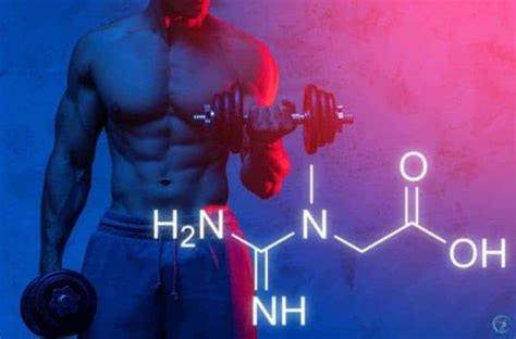 Ranking The Best Creatine For Men Gear Up To Fit