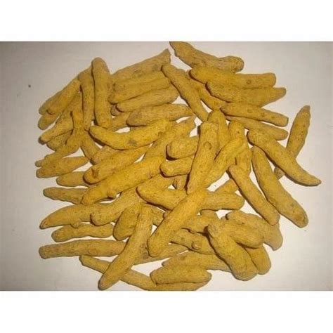 Polished Turmeric Finger 50 Kg Packaging Bag At Rs 76 Kilogram In Puri