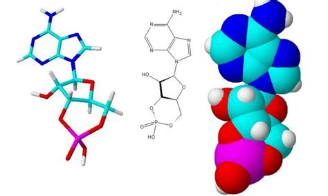 New Drug Compound Could Tackle Major Life Limiting Kidney Disease