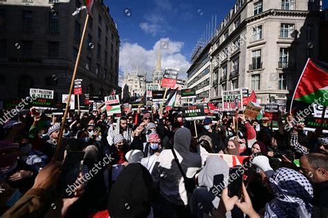 Protesters Hold Signs Flags During Propalestine Editorial Stock Photo ...