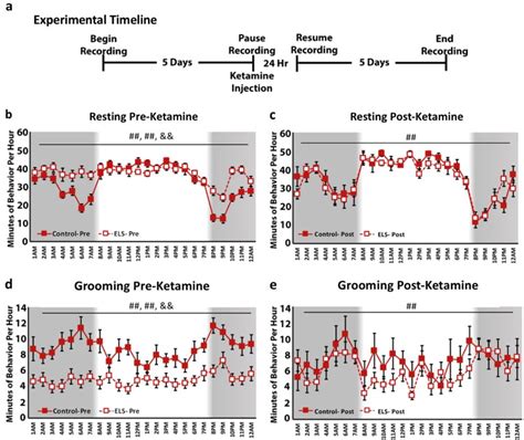 Early Life Stress Leads To Sex Differences In Development Of Depressive Like Outcomes In A Mouse