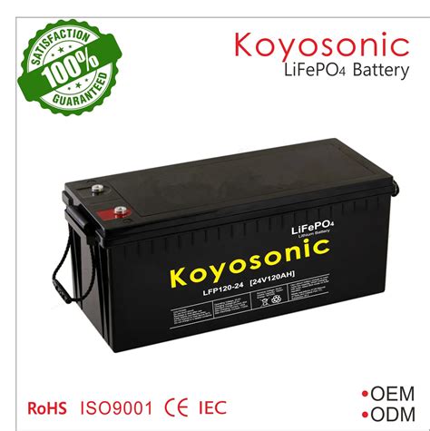 Lifepo4 Phosphate 24v 120ah Lithium Iron Battery Pack With Bms For