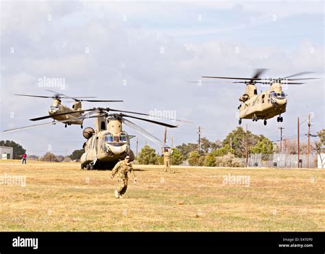 Three US Army Chinook helicopters landing Stock Photo - Alamy