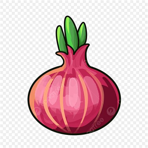 Clipart Bawang Merah Lezat Magenta Bawang Clipart Bawang Magenta