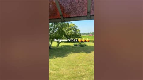 Belgium Vibes Shorts Goodvibes Shortvideo Shorts Trending Trend