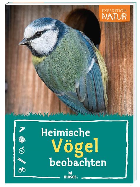 Heimische Vögel beobachten Naturführer aus der Reihe Expedition Natur