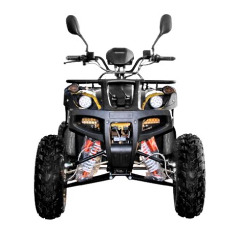 Квадроцикл электрический с мотором 60V2200W SN-EA206 квадроцикл ...