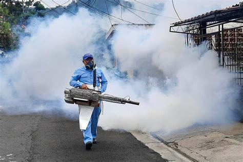 1 3 millones de hogares salvadoreños serán beneficiados con la jornada