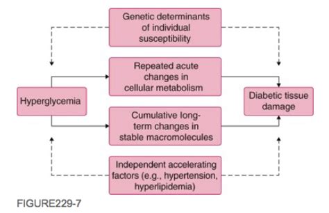 Clinmed Diabetes Complications Flashcards Quizlet