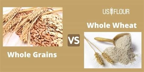 Whole Grain Vs Whole Wheat What Is The Difference Us Flour Corp