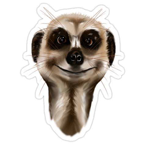 "Meerkat face" Stickers by Lotacats | Redbubble