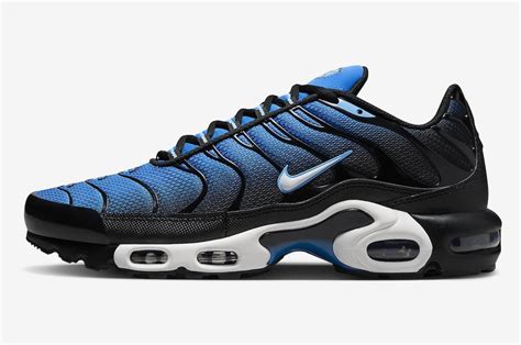 Nike Air Max Plus Aquarius Blue Dm0032 402