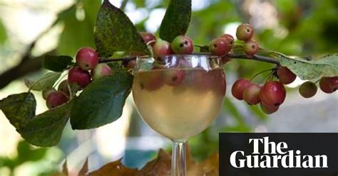 Andy Hamiltons Delicious Crab Apple Wine Wine Recipes Apple Wine