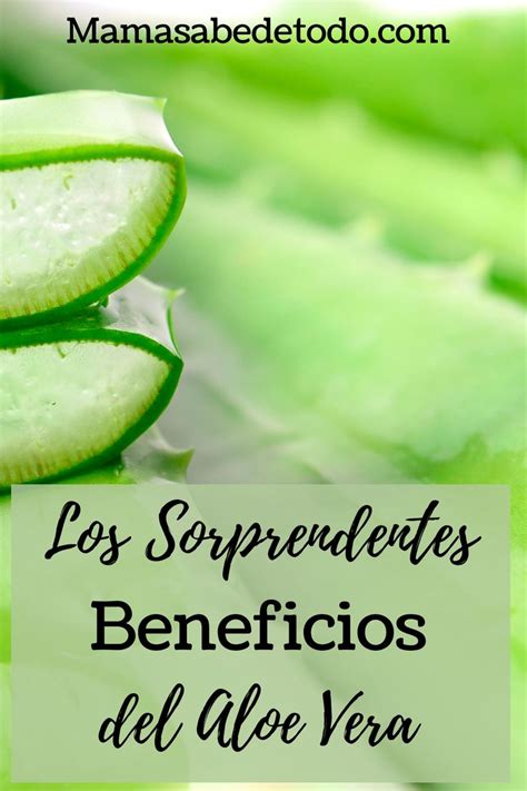 Los Beneficios Del Aloe Vera Áloe Aloe Vera Piel Aloe Vera