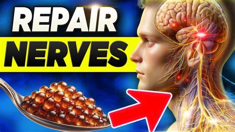 10 Foods That Can Miraculously Heal Nerve Damage Youtube