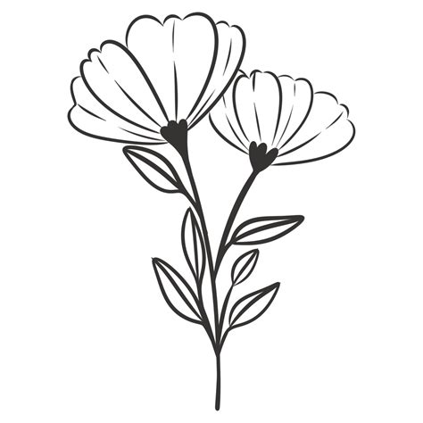 Flower Line Silhouette For Decorations 24959851 Png