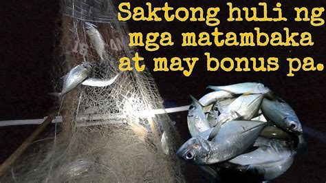 Mga Huli Naming Mga Isdang Matambaka Sa Lambat At May Bonus Pang Ibang