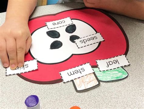 20 Apple Activities For The Classroom This Fall Teaching Special Thinkers