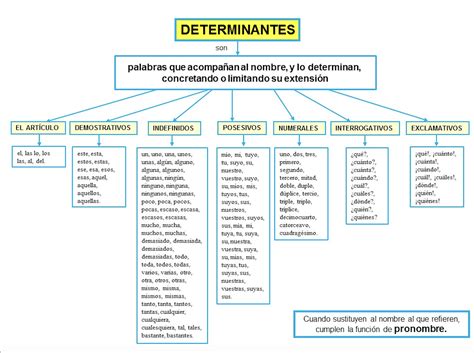 Super Al Los Determinantes Demostrativos Posesivos Numerales E