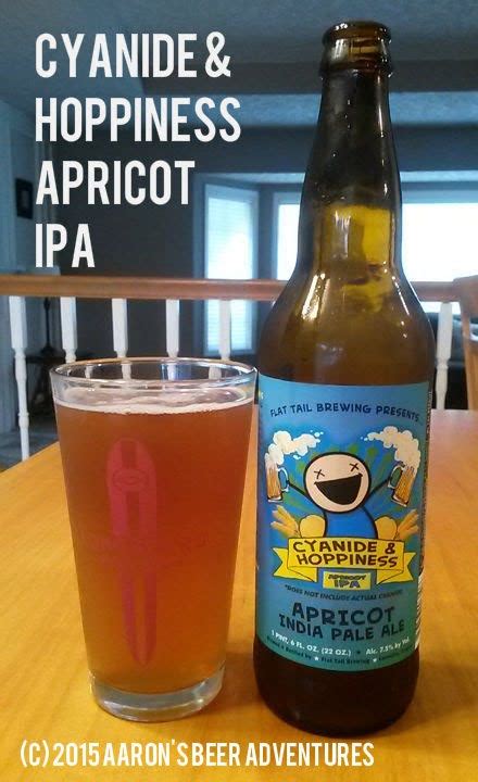 Aaron S Beer Adventures Beer Reviews Craft Beer Microbrews Flat