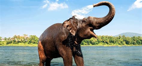 kerala wildlife sanctuaries nature attractions  southern india