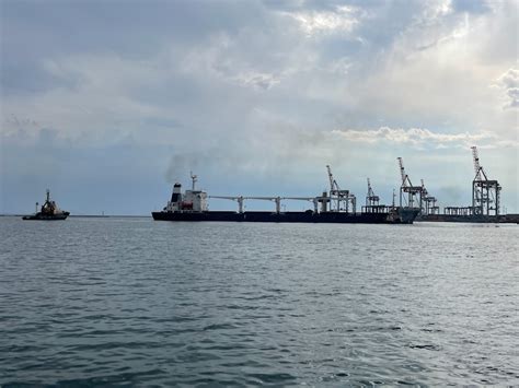 IMO Welcomes First Ship Departure Under Black Sea Grain Initiative