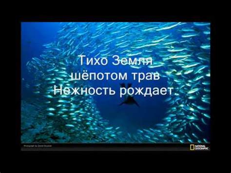 Моя голубая планета - YouTube