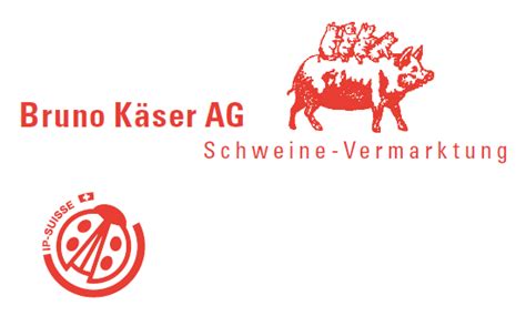 Preise Schweine Suisseporc