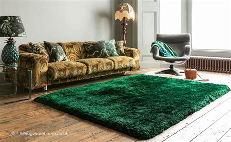 30+ Dark Green Carpet Living Room Ideas – HomeDecorish