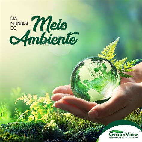 Tema Da Onu 2024 Meio Ambiente Maire Roxanne