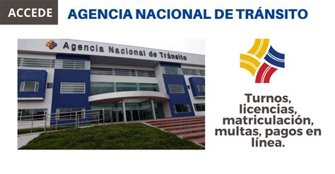 Consultar Licencias De Conducir Agencia Nacional De Tr Nsito