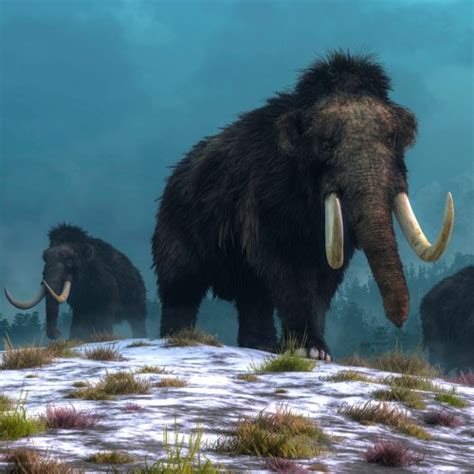 Prehistoric Ice Age