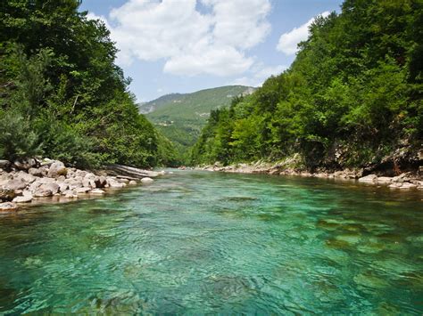 Na Wakacje Gródek (Kłomino) i Brzeźnica-Kolonia. | Fotoexplorer