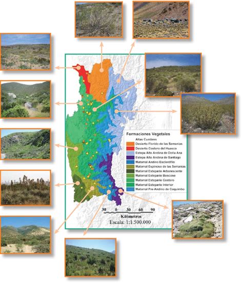 Formaciones Vegetales Caracter Sticas De La Regi N De Coquimbo