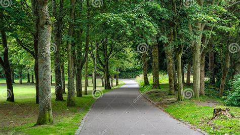 Path To Walk through the Public Park with Leafy Trees Next To St. Machar S Cathedral, Aberdeen ...