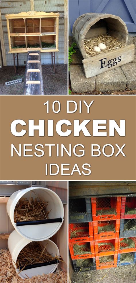 Diy Nest Box For Chickens