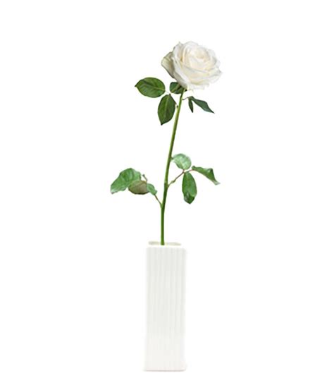 Single White Rose Delivered at From You Flowers