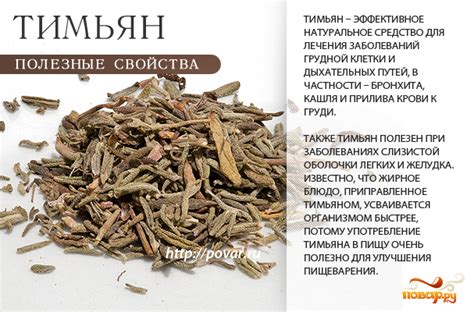 Польза тимьяна - чем полезен тимьян для здорового организма - Повар.ру