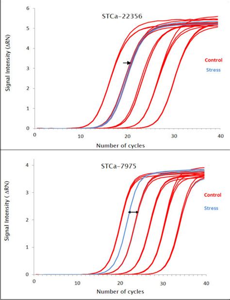 Qrt Pcr Confirmation Of Supersage Results Taqman™ Rt Pcr Confirmation