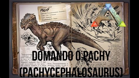 Ark Survival Evolved Domando O Pachy Pachycephalosaurus Youtube