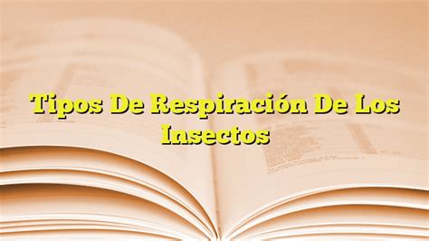 Tipos De Respiración De Los Insectos Imagenes Graficos