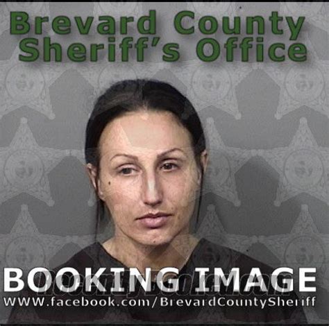 Recent Booking Mugshot For Amber Dawn Willrich In Brevard County Florida