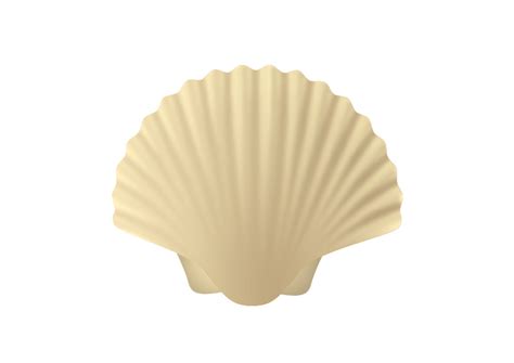 Seashell Free Vector Illustration